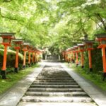 Another beautiful Kyoto