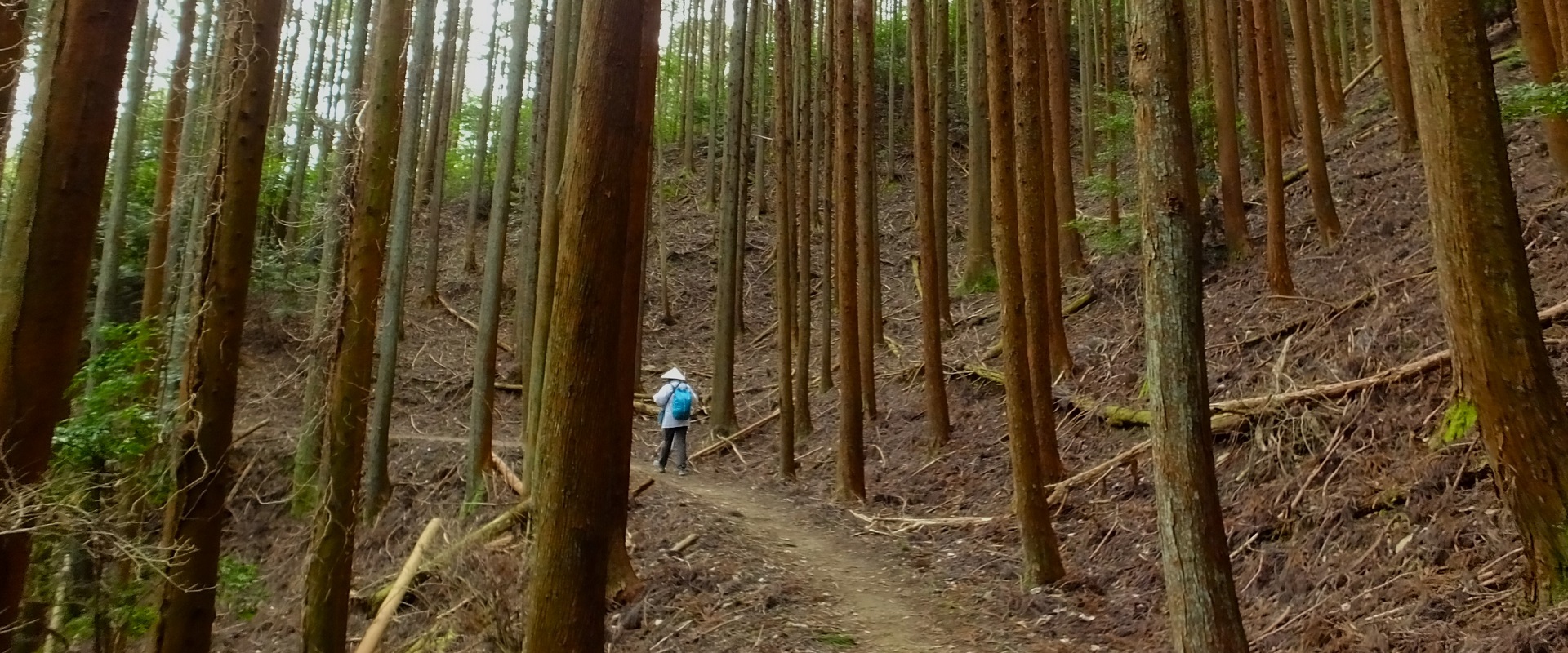 Shikoku Ohenro Pilgrimage