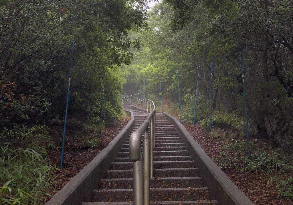 A hiking trail with stairs on Shodoshima Island