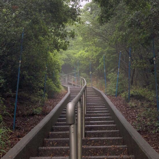 A hiking trail with stairs on Shodoshima Island