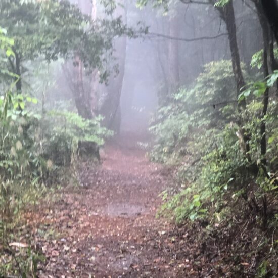 Shikoku Ohenro Walking Trail