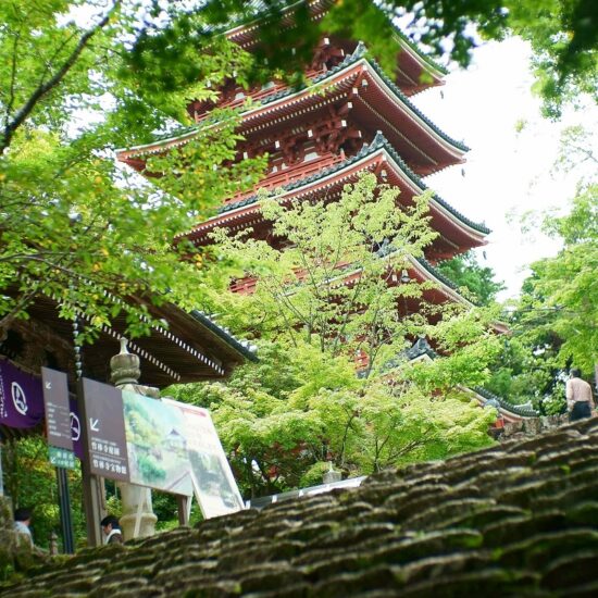 A pagoda in Kochi City's Chikurinji Temple.