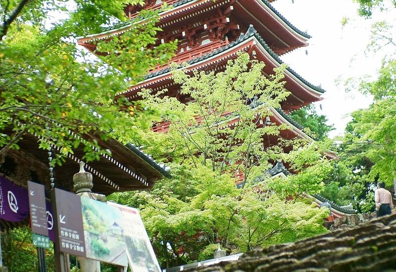 A pagoda in Kochi City's Chikurinji Temple.