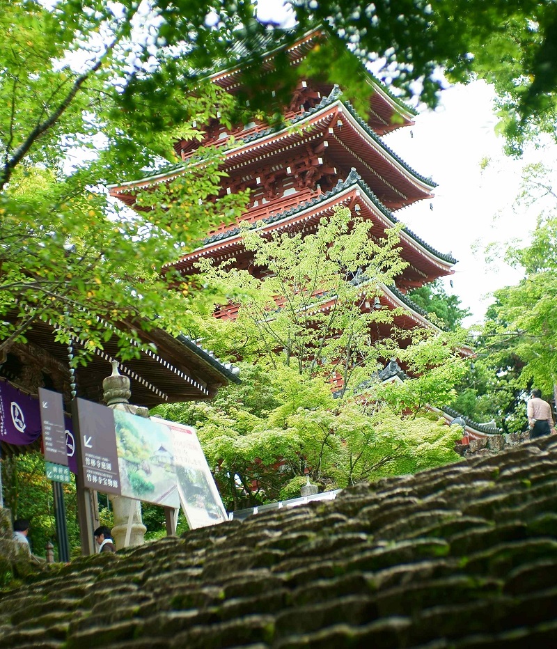 A pagoda in Kochi City's Chikurinji Temple.