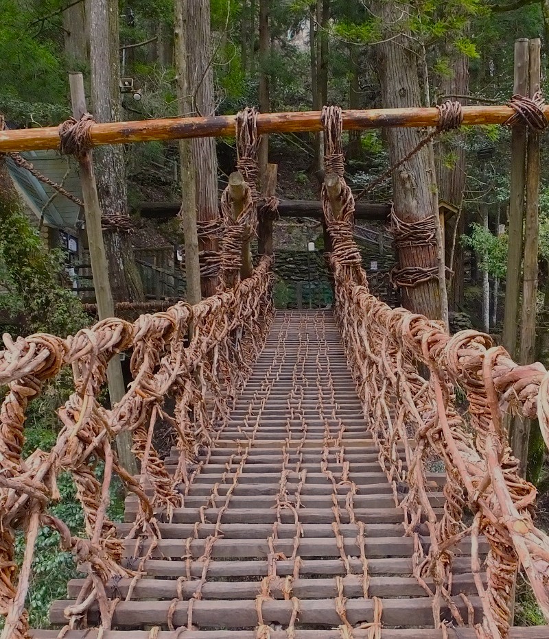 Iya Valley Vine Bridge, located in the heart of the valley.