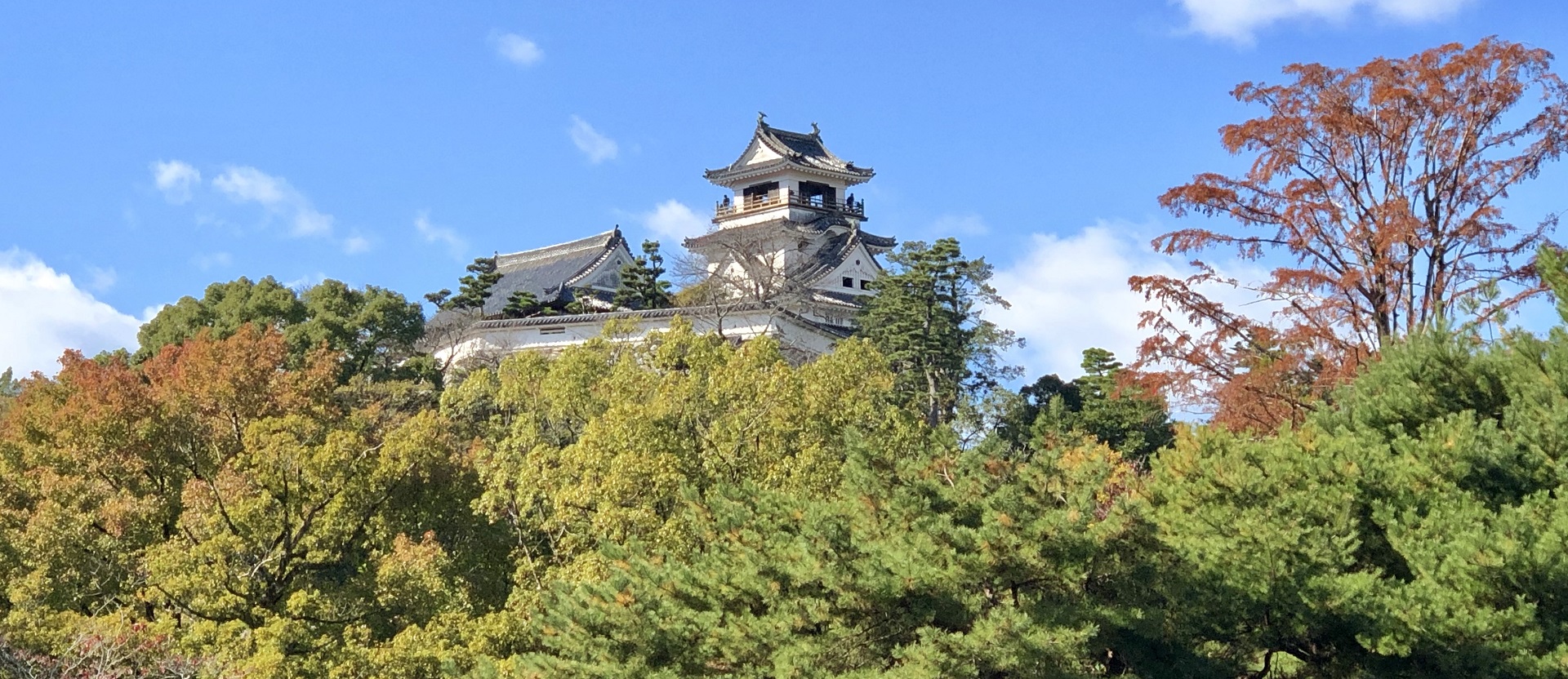 Kochi Castle, one of Kochi's iconic sightseeing spots.