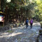 Nakasendo stone paved path