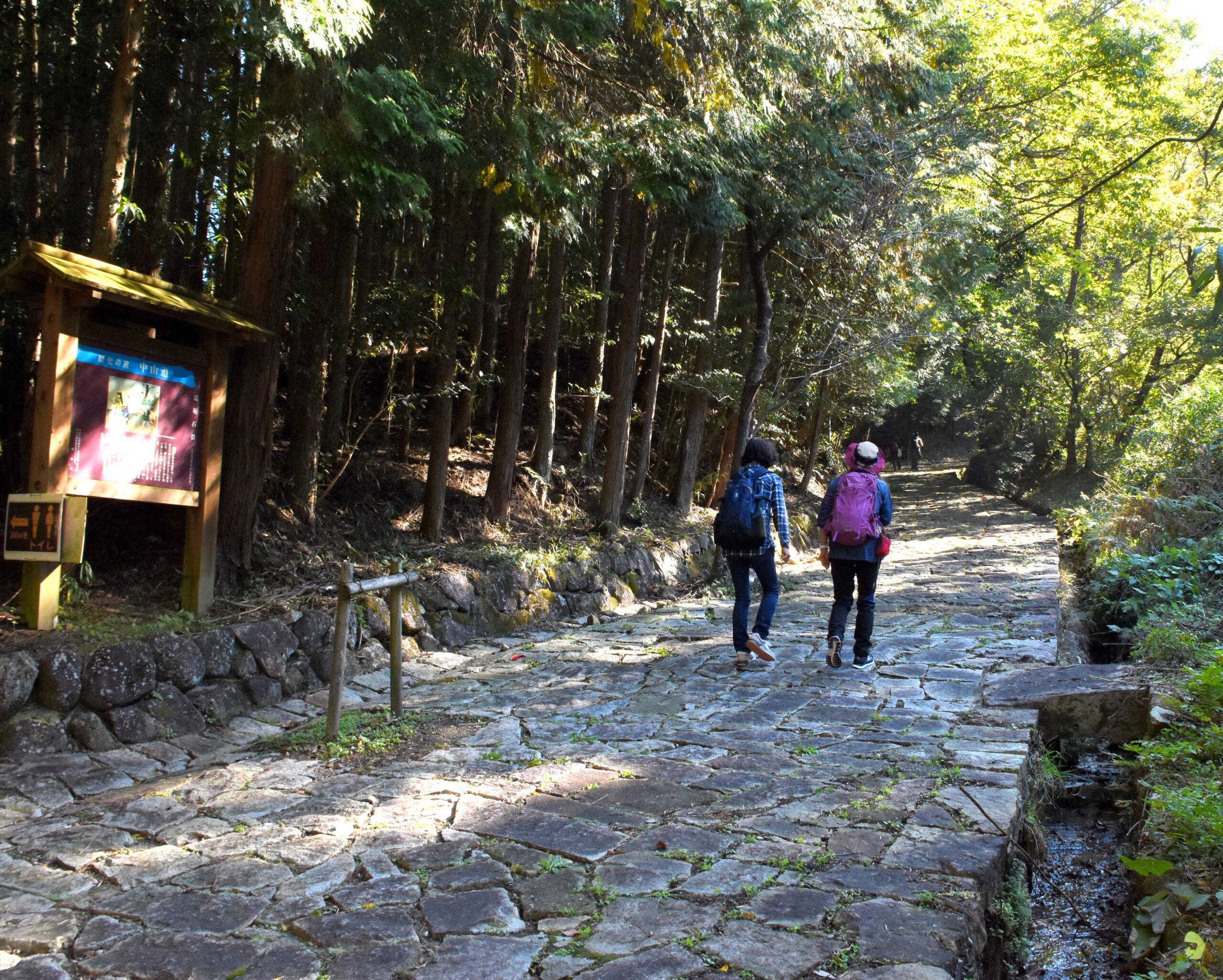 Nakasendo stone paved path