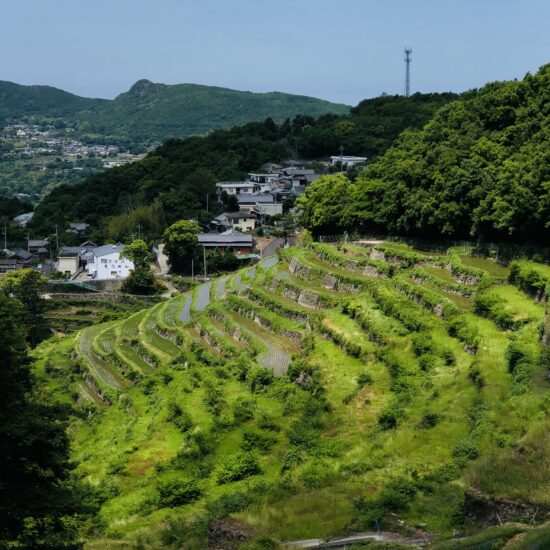 Nakayama Senmaida rice terraces in Shodoshima