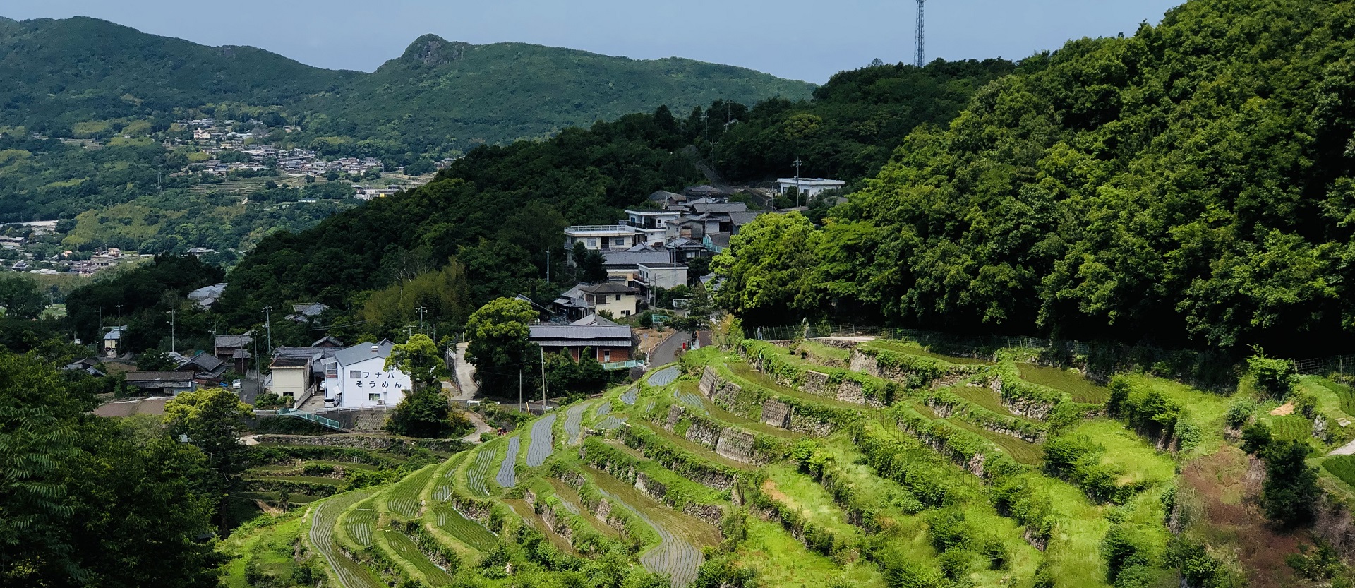 Nakayama Senmaida Rice terraces Shodoshima