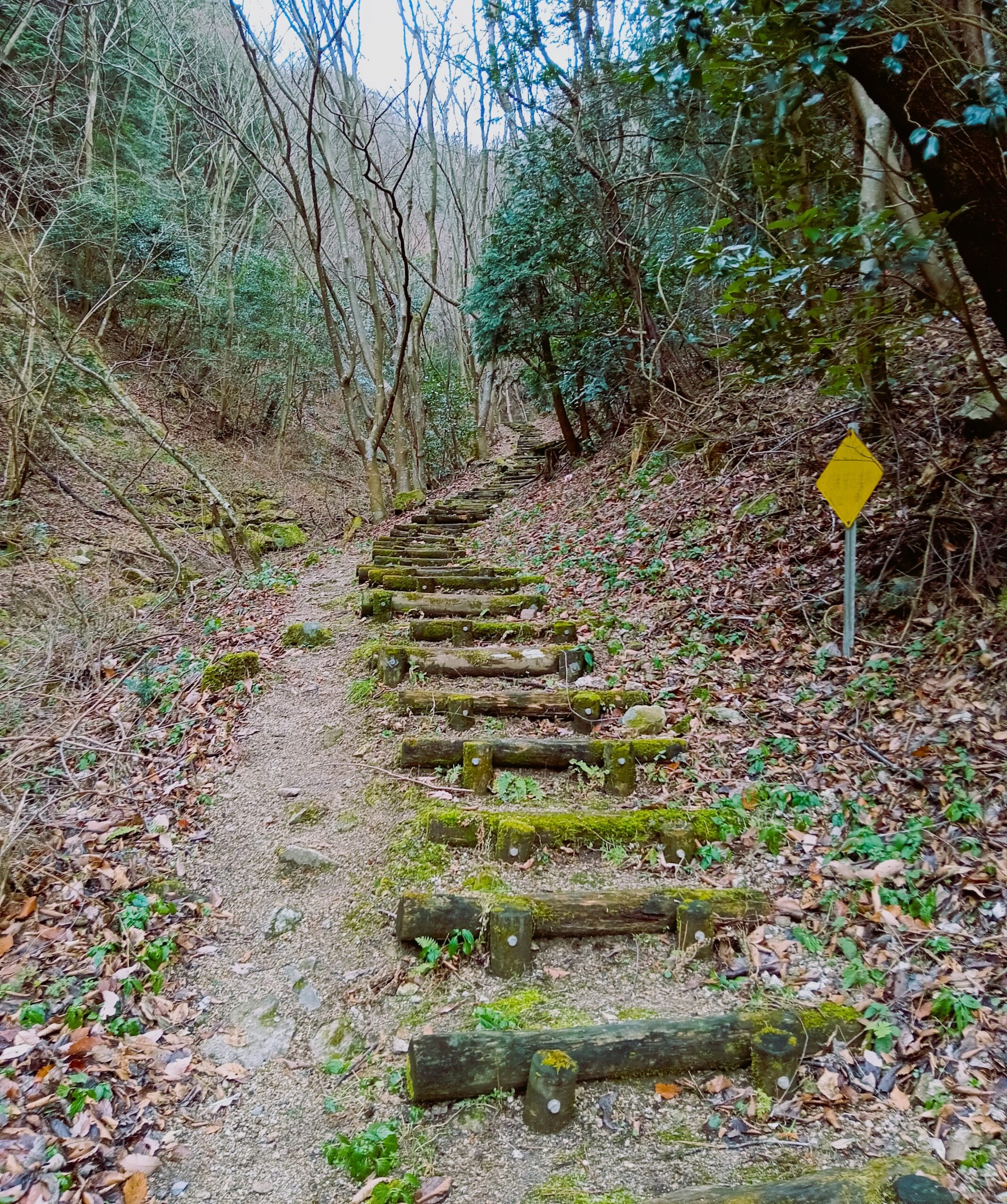 Shikoku Ohenro Pilgrimage