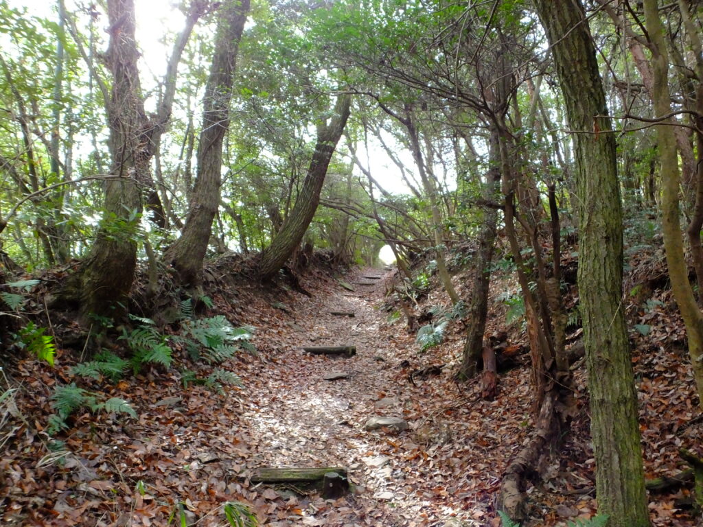 Shikoku Ohenro pilgrimage trail