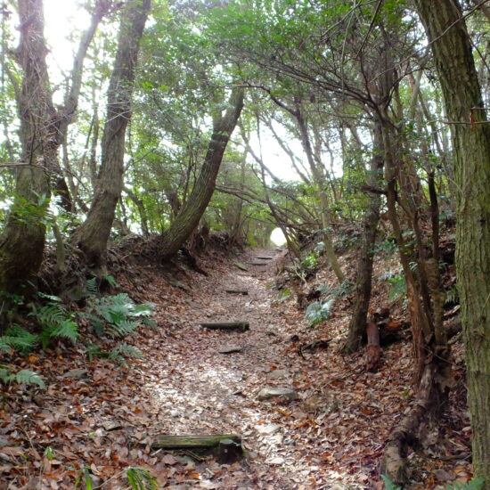 Shikoku Ohenro pilgrimage trail