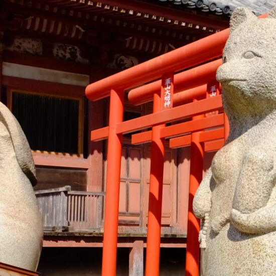 Tanuki (Raccoon) statue in front of Yashima temple.